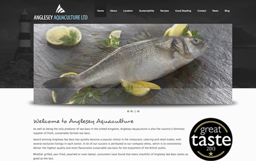 Anglesey Sea Bass Website Design